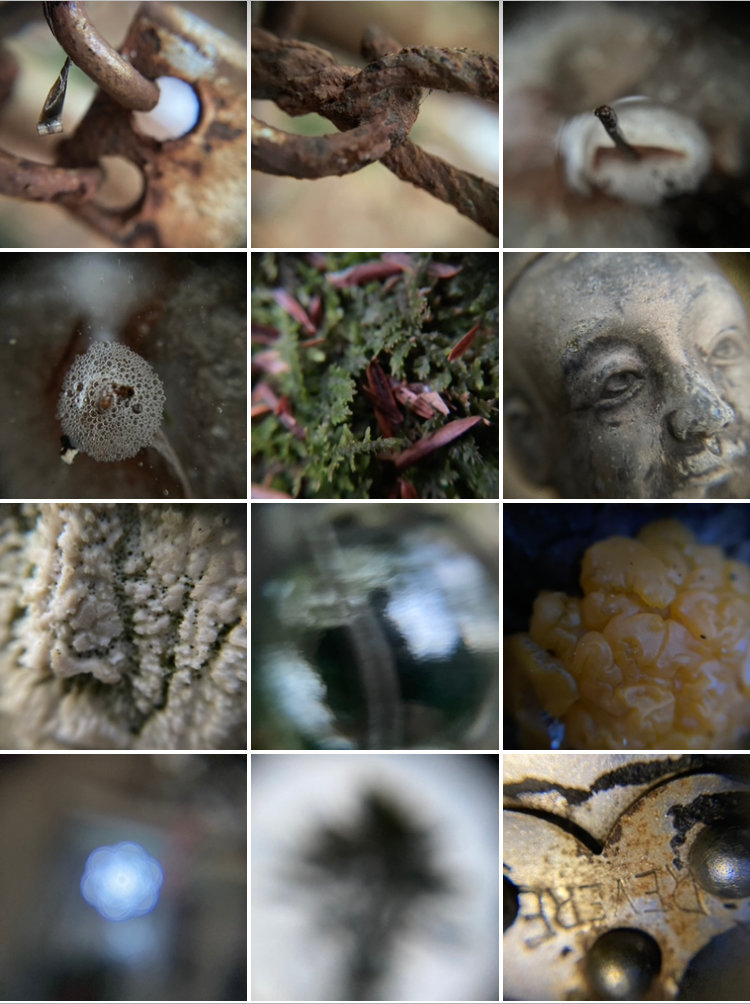 This block of images is the result of an exploratory walk I took recently. Take a moment to examine individual images within the block and try to guess what you are looking at before reading the descriptions of each.
